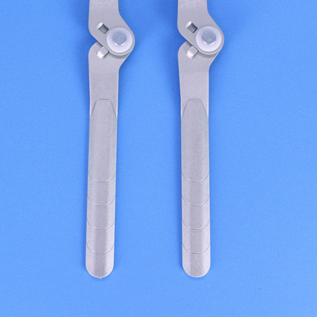 joint